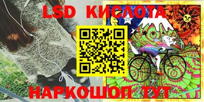 a pvp Краснознаменск
