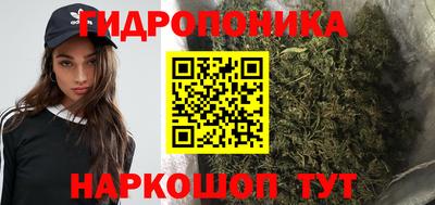 a pvp Краснознаменск