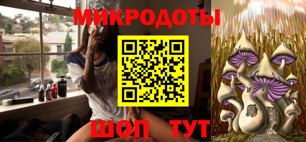 Псилоцибиновые грибы Psilocybine cubensis Ярцево