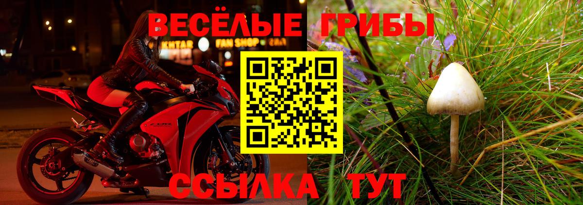 Ярцево  Галлюциногенные грибы Cubensis  где купить наркоту  Вход с VPN 